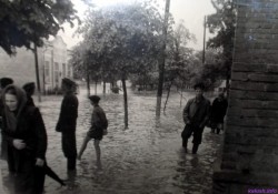 Фотогалерея