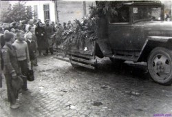 Фотогалерея